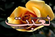 رمان لعبت