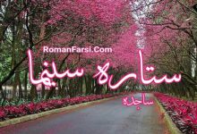 رمان ستاره سینما