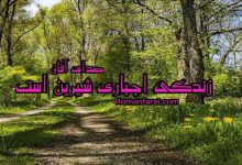 رمان زندگی اجباری شیرین است