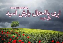 رمان ابری با احتمال بارش اسید