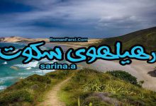 رمان در هیاهوی سکوت ما