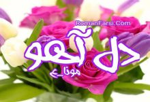 رمان دل آهو