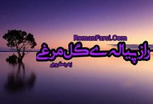 رمان راز پیاله ی گل مرغی