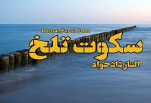 رمان سکوت تلخ