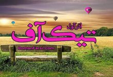 رمان تیک آف