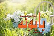 رمان بابونه