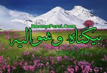 رمان بیگناه و شوالیه