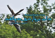 رمان دلم پرواز می خواهد
